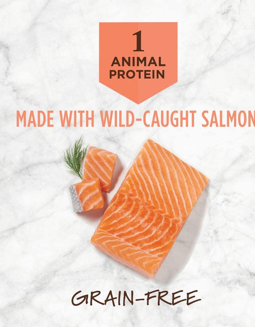 Load image into Gallery viewer, Limited Ingredient Cat Food, Limited Ingredient Diet Natural Grain Free Dry Cat Food
