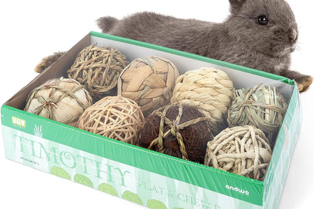Small Animals Play & Activity Balls Rolling Chew Toys for Rabbits Guinea Pigs Chinchilla