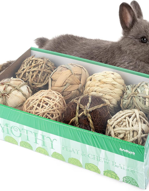 Load image into Gallery viewer, Small Animals Play &amp; Activity Balls Rolling Chew Toys for Rabbits Guinea Pigs Chinchilla
